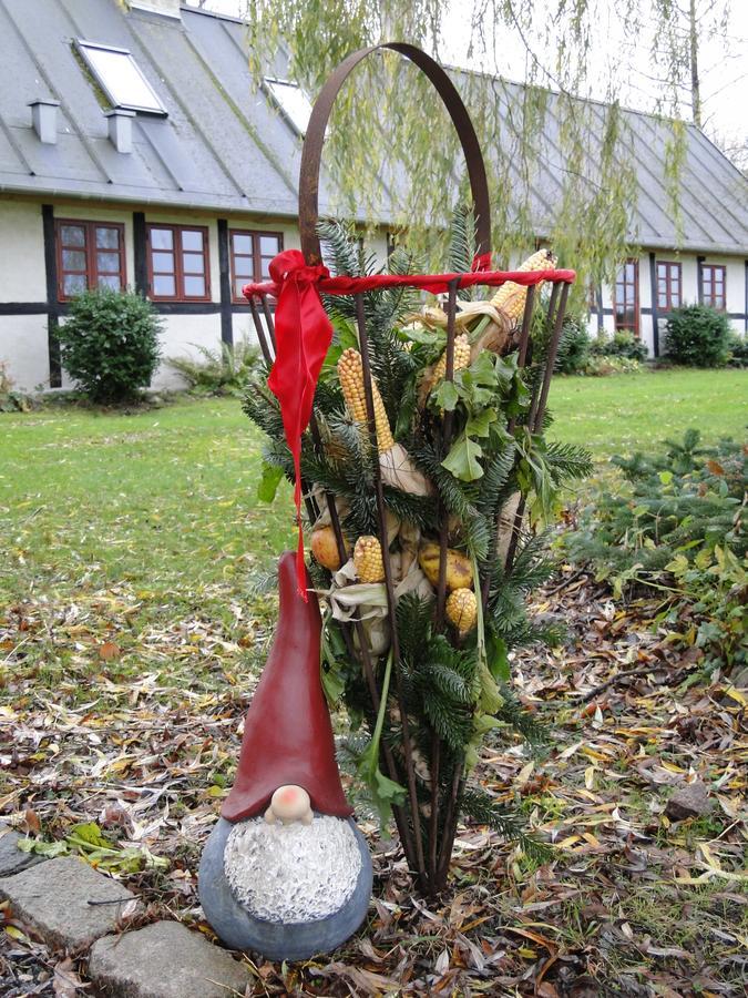 Dyssegaard B&B Skallerup 外观 照片