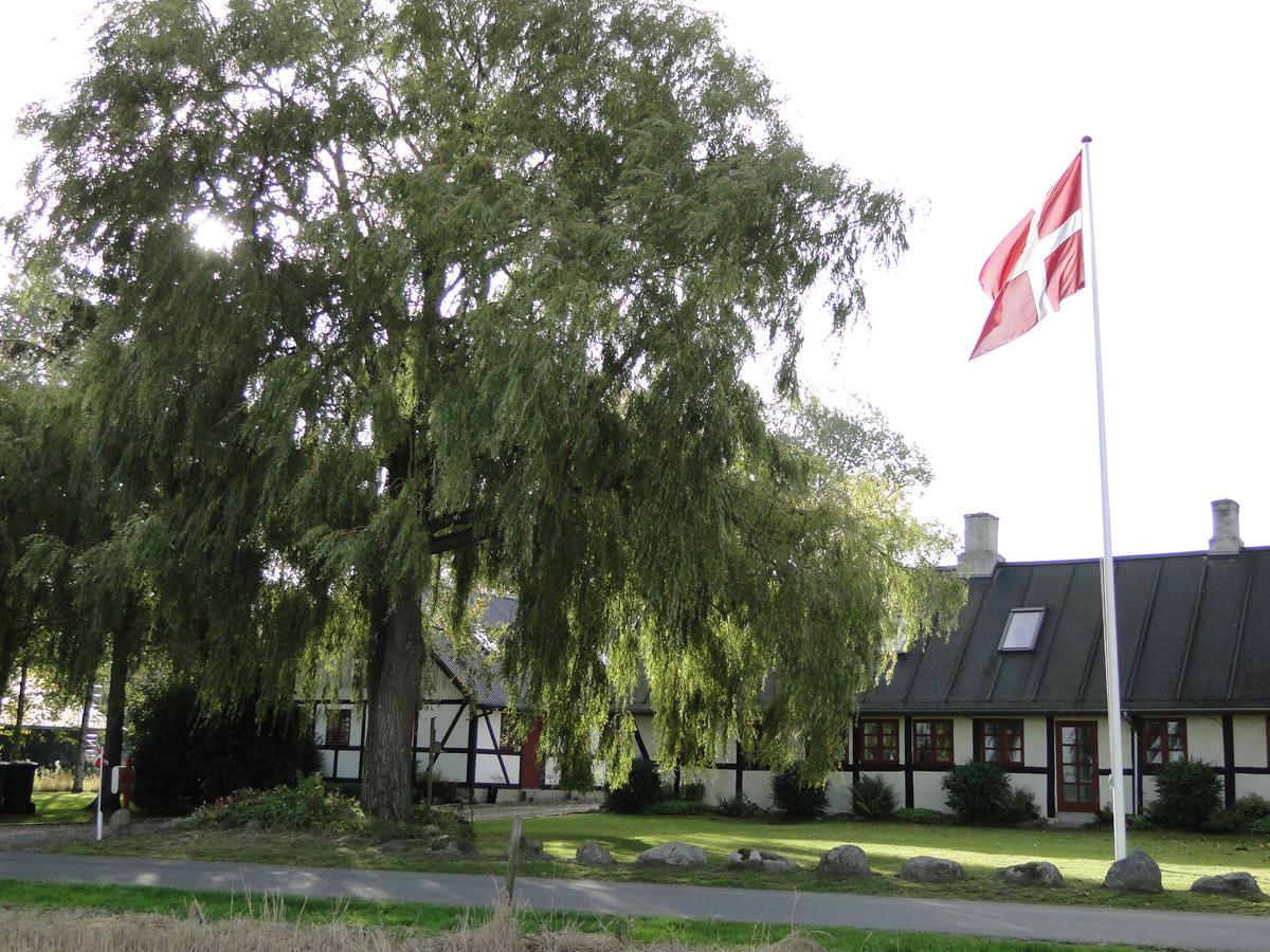 Dyssegaard B&B Skallerup 外观 照片