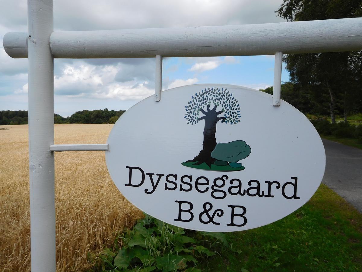 Dyssegaard B&B Skallerup 外观 照片